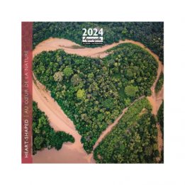 Calendrier 2024 Dans les forêts 30x30cm