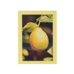 Cadre photo "Jaune paille"...