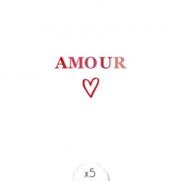 Tatouage éphémère "Amour" x5
