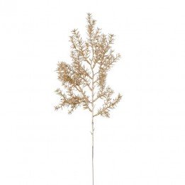 Branchage de sapin doré